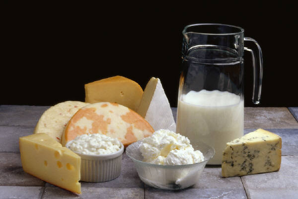  Milk product testing services